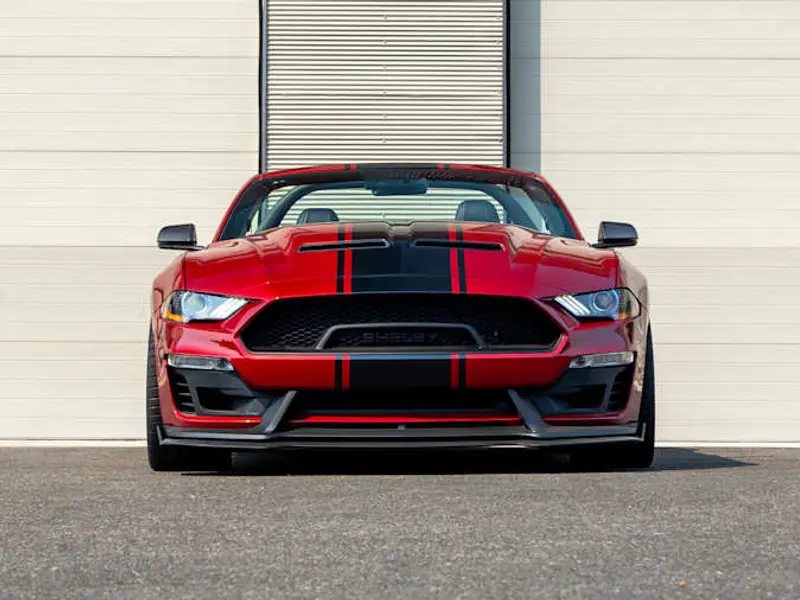 2019 Ford Shelby Super Snake Widebody — photo 4 of 8
