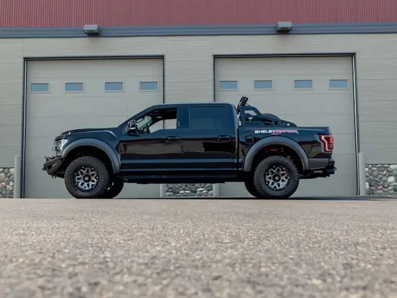 2020 Ford Shelby Raptor Baja — photo 2 of 8