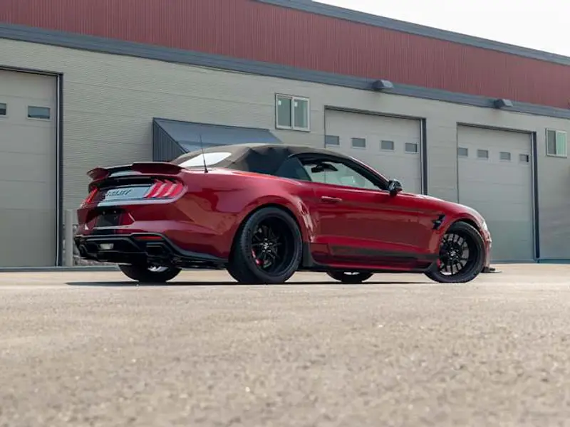 2019 Ford Shelby Super Snake Widebody — photo 3 of 8