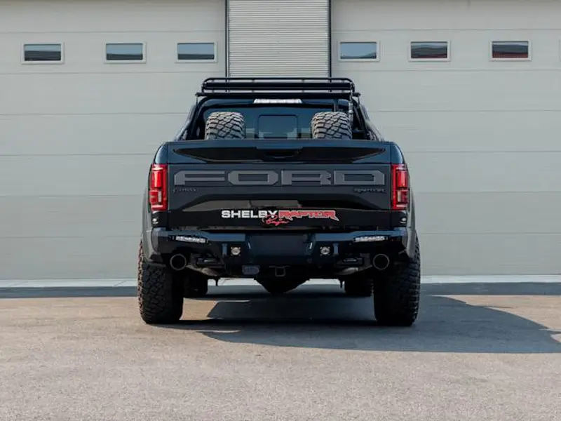 2020 Ford Shelby Raptor Baja — photo 5 of 8