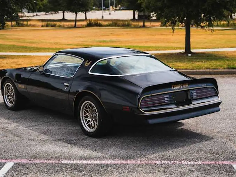1977 Pontiac Trans Am — photo 3 of 8