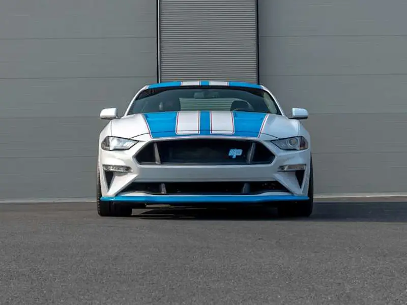 2019 Ford Mustang Petty's Garage Warrior Edition — photo 4 of 8