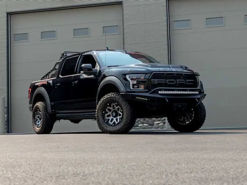 2020 Ford Shelby Raptor Baja — photo 6 of 8