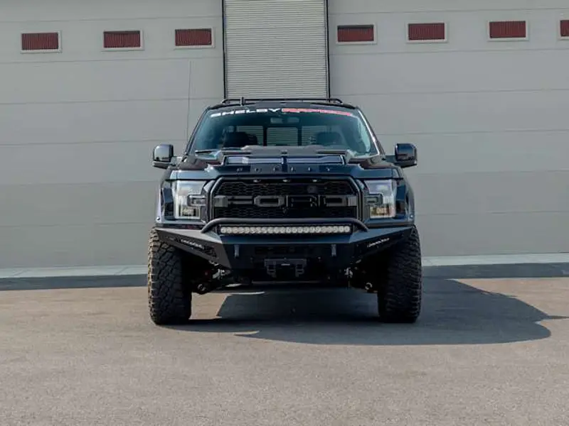 2020 Ford Shelby Raptor Baja — photo 4 of 8